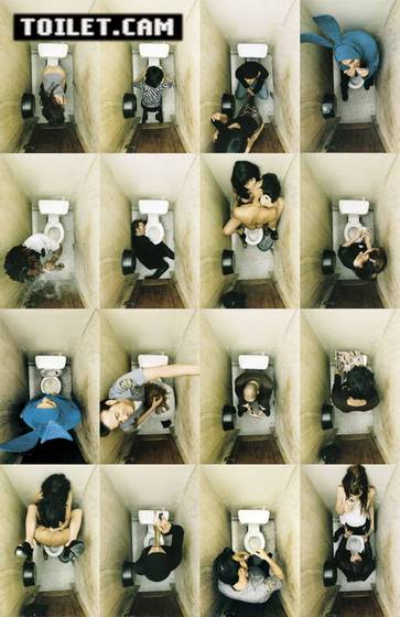 Toiletcam-3689-61x91-poster__7828233_0.jpg