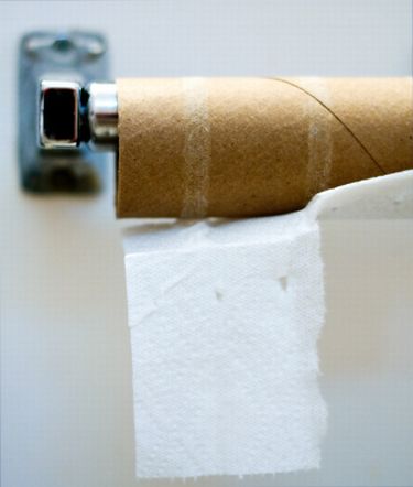 mommy-greenest-organic-toilet-paper-roll.jpg